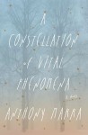 Marra_Constellation of Vital Phenomena (A CONSTELLATION OF VITAL PHENOMENA by Anthony Marra)